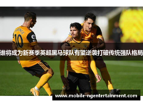 谁将成为新赛季英超黑马球队有望逆袭打破传统强队格局