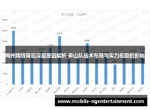 梅州降级背后深层原因解析 泰山队战术布局与实力差距的影响