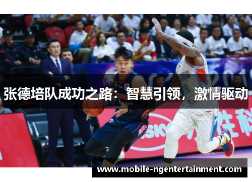 张德培队成功之路：智慧引领，激情驱动