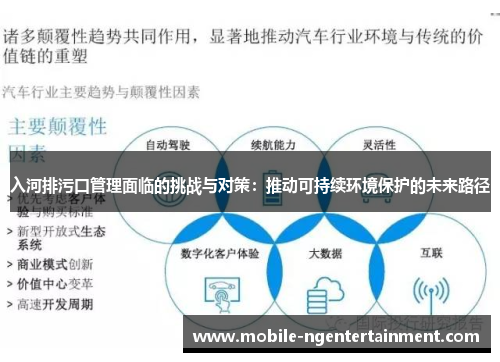 入河排污口管理面临的挑战与对策：推动可持续环境保护的未来路径