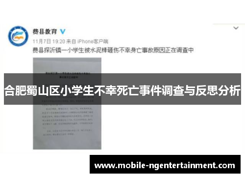 合肥蜀山区小学生不幸死亡事件调查与反思分析