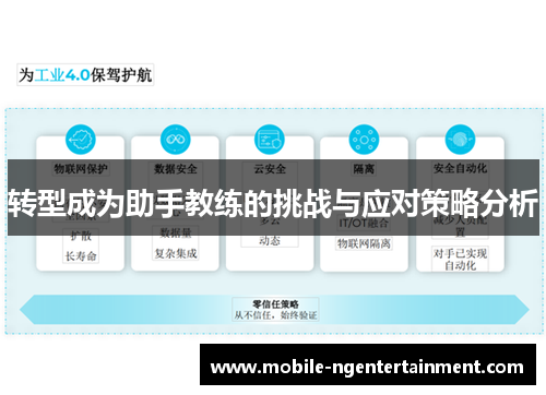 转型成为助手教练的挑战与应对策略分析
