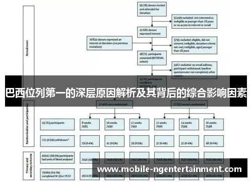 巴西位列第一的深层原因解析及其背后的综合影响因素 巴西位列第一的深层原因解析及其背后的综合影响因素