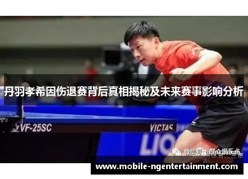 丹羽孝希因伤退赛背后真相揭秘及未来赛事影响分析
