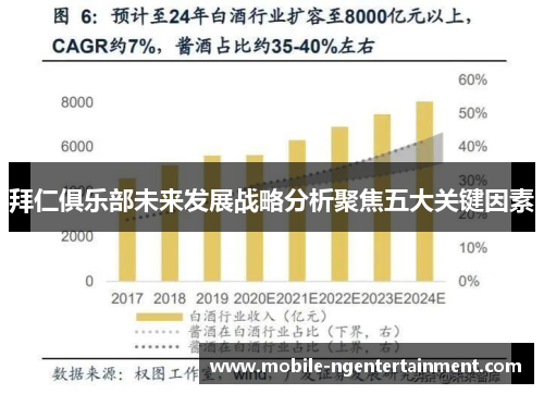 拜仁俱乐部未来发展战略分析聚焦五大关键因素