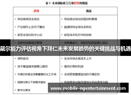 戴尔能力评估视角下拜仁未来发展趋势的关键挑战与机遇 戴尔能力评估视角下拜仁未来发展趋势的关键挑战与机遇