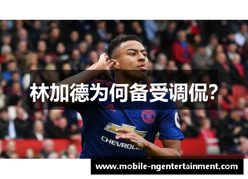 林加德为何备受调侃？