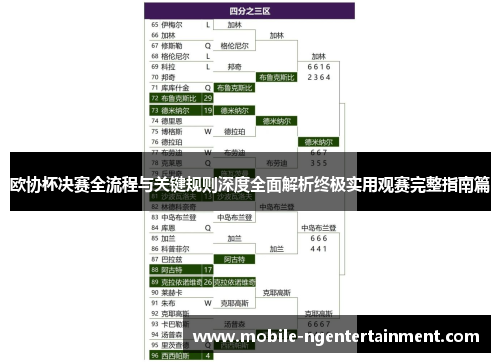 欧协杯决赛全流程与关键规则深度全面解析终极实用观赛完整指南篇 欧协杯决赛全流程与关键规则深度全面解析终极实用观赛完整指南篇