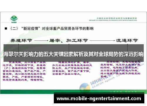 海瑟尔关影响力的五大关键因素解析及其对全球局势的深远影响