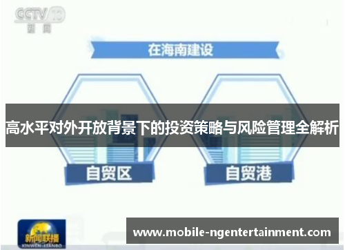 高水平对外开放背景下的投资策略与风险管理全解析